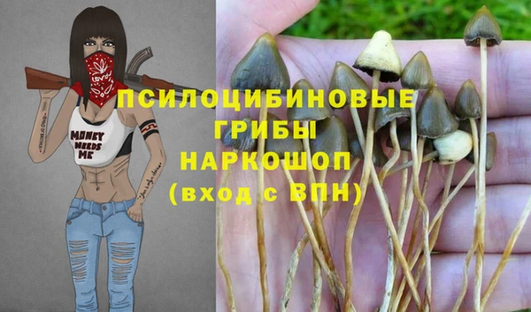 амфетамин Гусев